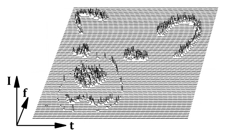 Sonografie - logo